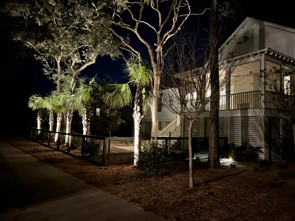 Landscape lighting illuminating palms and trees beside a Kiawah River home