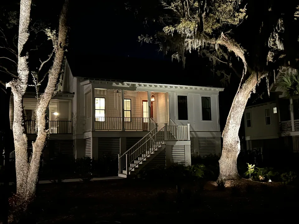 Uplighting on two mature trees at night