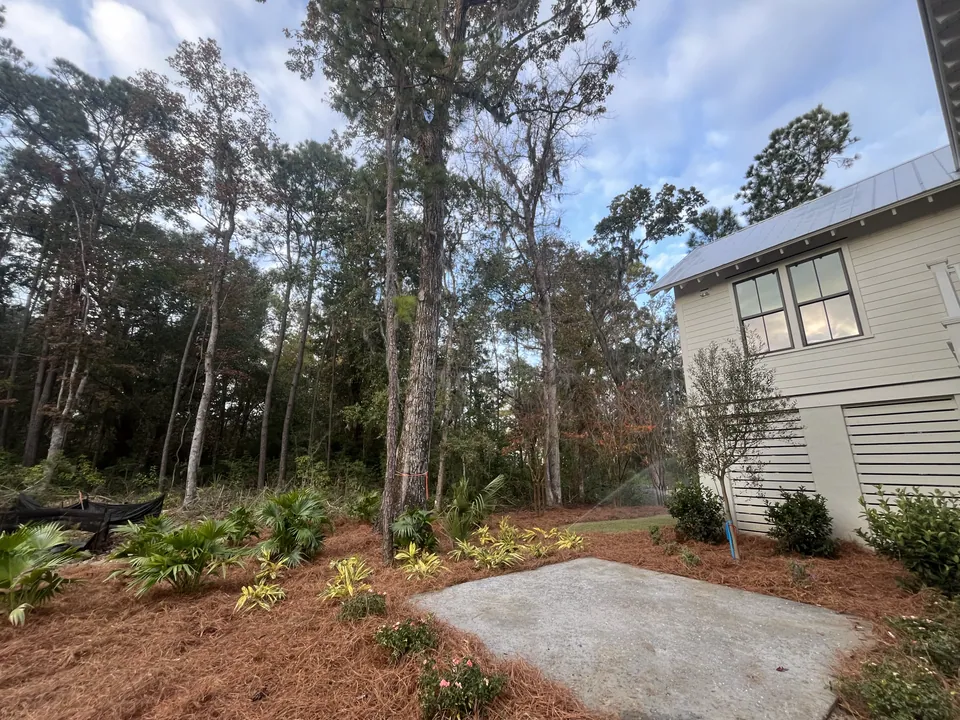 Pine-straw planting beds and palms beside a paved approach in Kiawah River