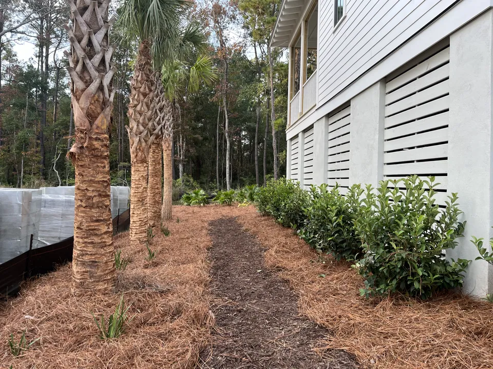 Mulched beds and shrubs along the side of a Kiawah River home