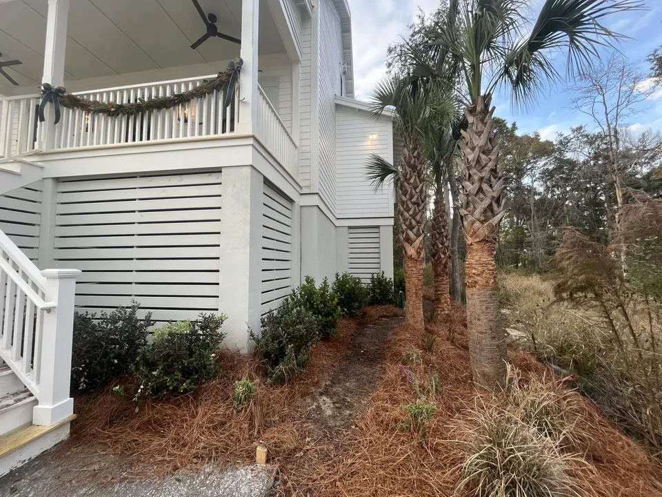 Palms and foundation plantings beside the front porch