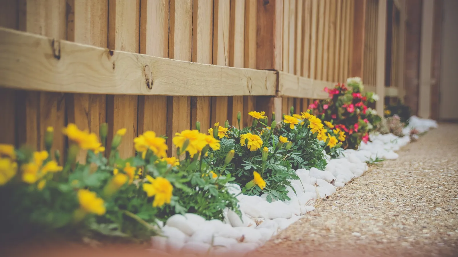 Professional landscaping work by CHS Contracting